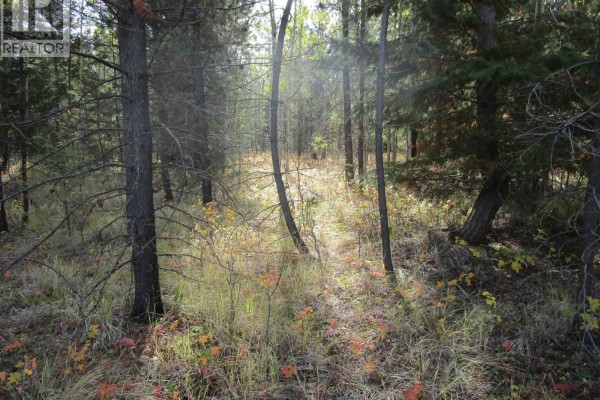 Lot 4 Foothills Road, Horse Lake, BC V0K2E3 Photo 4