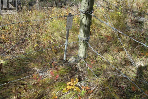 Lot 4 Foothills Road, Horse Lake, BC V0K2E3 Photo 5