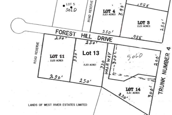 Lot 4 Forest Hill Drive, Central West River, NS B0K1P0 Photo 2