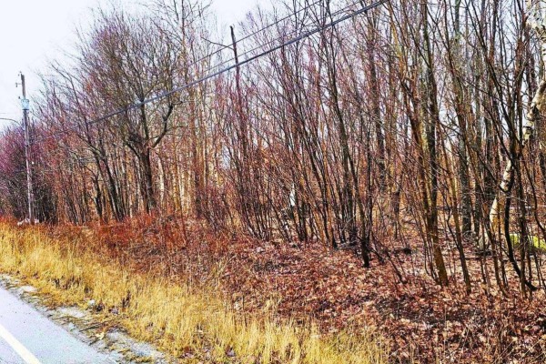 Lot 4 Gardiner Road, Gardiner Mines, NS B1H5L7 Photo 2