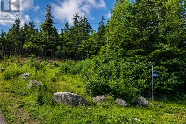 Lot 4 Highway 104, Aulds Cove, NS B0H1P0 Photo 2