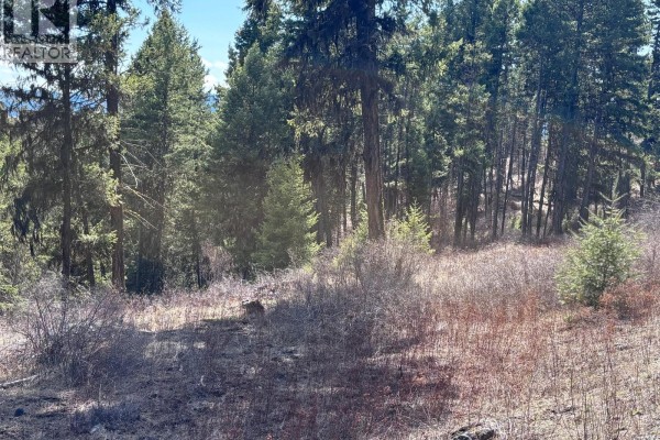 A partially cleared area of land surrounded by tall coniferous trees and dry brush. - Lot 4 Hulme Creek Road, Rock Creek