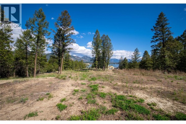 Lot 4 Kpokl Road, Invermere, BC V0A1K0 Photo 4