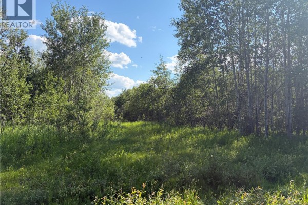 Lot 4 Lakeside Acreages, Delaronde Lake, SK, photo 2