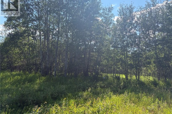 Lot 4 Lakeside Acreages, Delaronde Lake, SK, photo 3