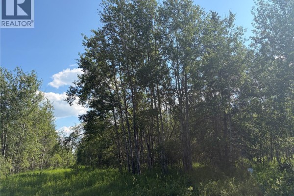 Lot 4 Lakeside Acreages, Delaronde Lake, SK S0J0E0 Photo 4