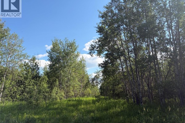 Lot 4 Lakeside Acreages, Delaronde Lake, SK S0J0E0 Photo 5