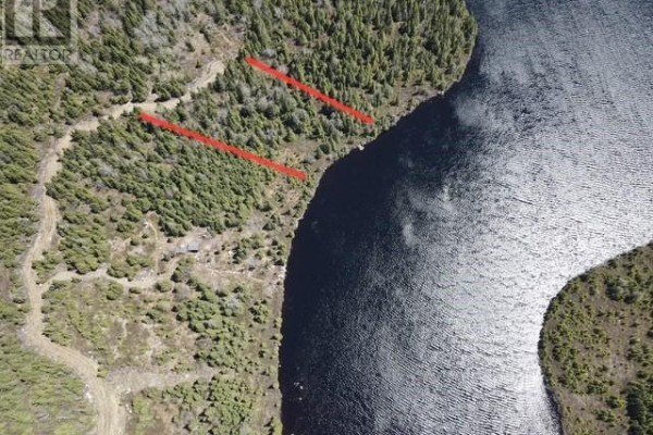 Aerial view of a forested shoreline along a dark body of water with red markings. - Lot 4 Little Northwest Pond, Glovertown