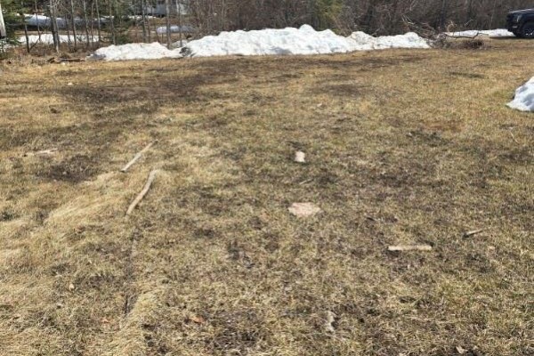 Lot 4 1st Avenue, Preeceville Rm No  334, SK S0A0W0 Photo 3
