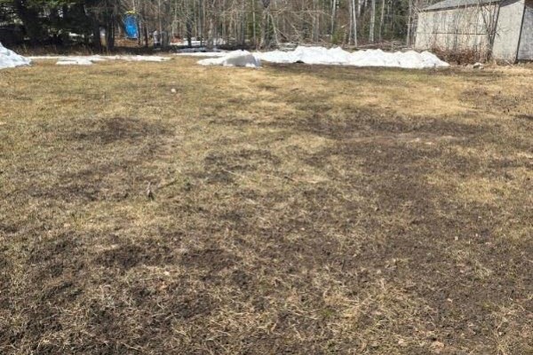 Lot 4 1st Avenue, Preeceville Rm No  334, SK S0A0W0 Photo 4