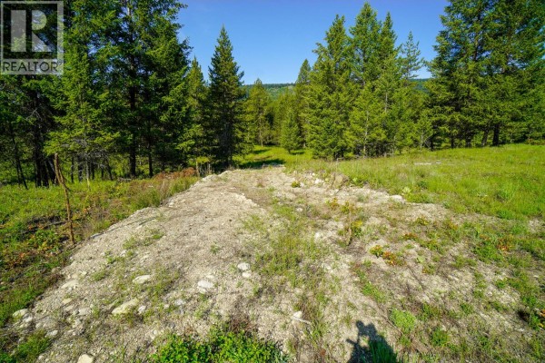 Lot 4 Mary G Road, Beaverdell, BC, photo 3