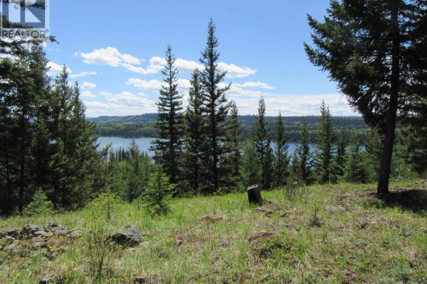 Lot 4 N Bonaparte Road, Bridge Lake, BC V0K1E0 Photo 3