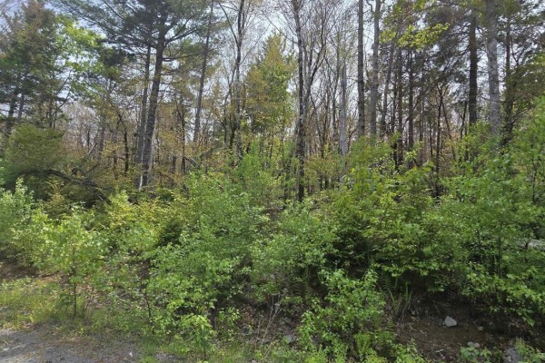 Lot 4 Nathan Croft Road, Camperdown Meadows, Camperdown, NS B4V6T9 Photo 2
