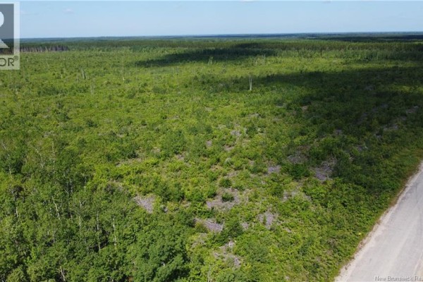 Lot 4 O'keefe Road, Miramichi, NB E1V6J3 Photo 5