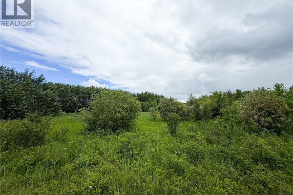 A pickup truck dumps a pile of dark soil onto a dirt area next to a wooded area. - Lot 4 Poplar Grove Estates, Meadow Lake Rm No 588