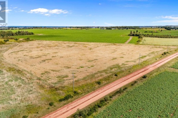 Dirt road bordering cultivated fields and a dry grass lot, under a bright blue sky. - Lot 4 Princetown Road, Malpeque Bay, Malpeque