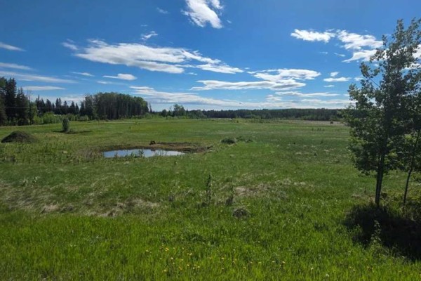 Lot 4 Range Road 175, Rural Yellowhead County, AB T7E3L7 Photo 2