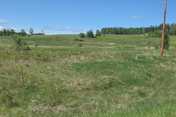 Lot 4 Range Road 175, Rural Yellowhead County, AB T7E3L7 Photo 4