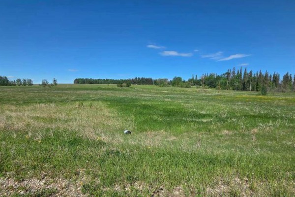 Lot 4 Range Road 175, Rural Yellowhead County, AB T7E3L7 Photo 5