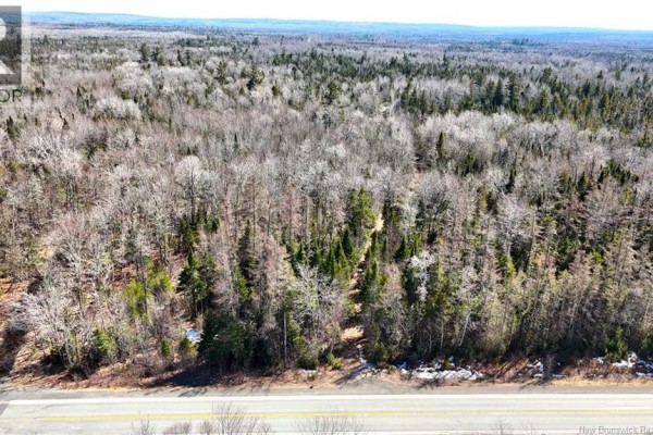Lot 4 Route 3, Andersonville, NB E5A1E2 Photo 2