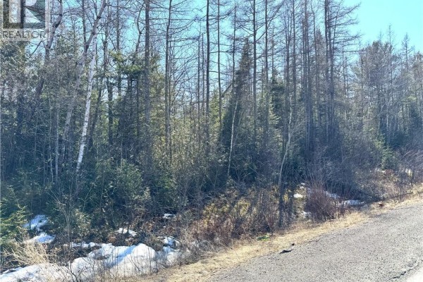 Lot 4 Route 3, Andersonville, NB E5A1E2 Photo 5
