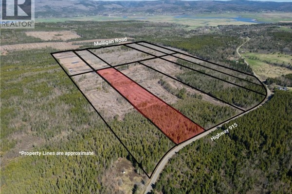 Lot 4 Route 915, Upper New Horton, NB, photo 2