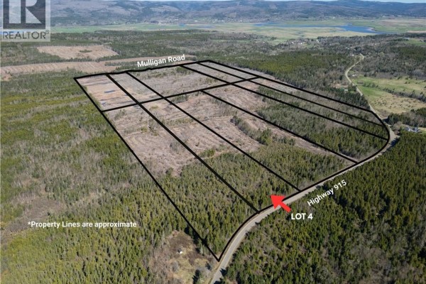 Lot 4 Route 915, Upper New Horton, NB E4H3T4 Photo 5