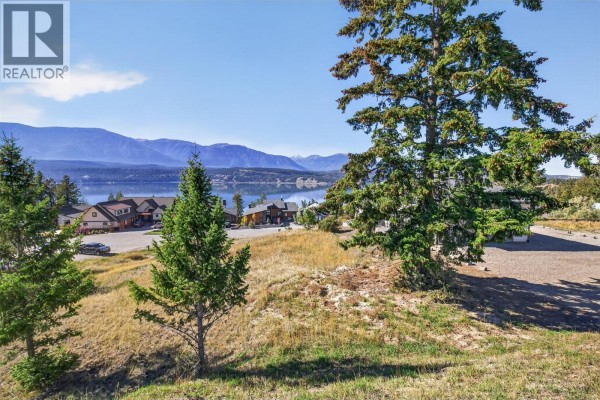 Lot 4 Stoddart Estates Drive, Windermere, BC V0B1L2 Photo 4