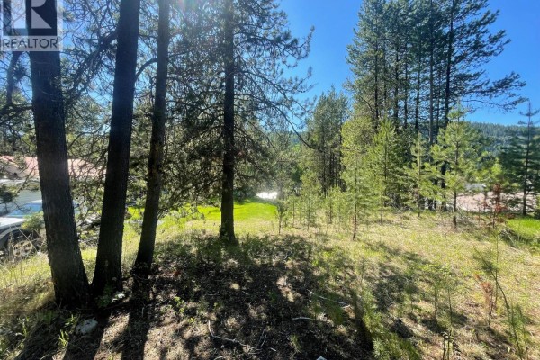 Lot 4 Strathmore Avenue Lot# 4, Greenwood, BC V0H1J0 Photo 5