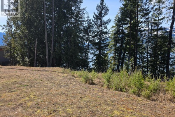 Lot 4 Walkers Lane, Kootenay Bay, BC V0B1E0 Photo 5