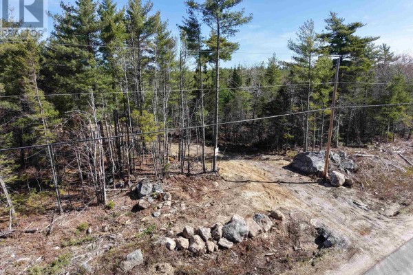 Wooded lot with cleared area, large rocks, and utility poles by a paved road. - Lot 4 Welshtown, Welshtown