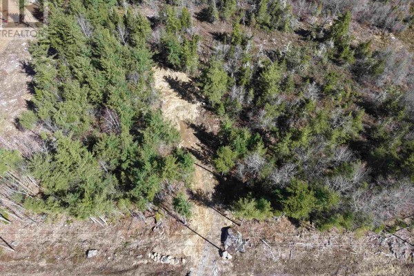 Overhead view of a partially cleared wooded lot with trees, rocks, and a road. - Lot 4 Welshtown, Welshtown