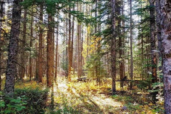 Lot 40 Beaver Lane, Grantville, NS B0E1J0 Photo 3