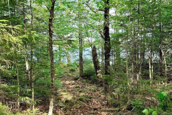 Lot 40 Cliff Road, New Russell, NS B0J2M0 Photo 5