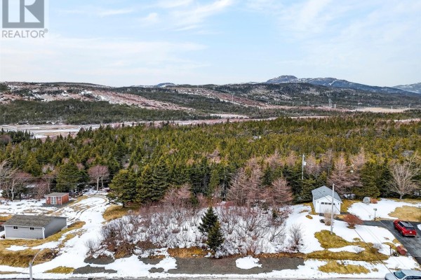 Lot 40 Shaheen Crescent, Come By Chance, NL, photo 2