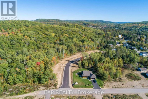 A view of a wooded lot with green trees and some cleared patches of dirt and grass. - Lot 40 Yantha Crescent, Madawaska Valley