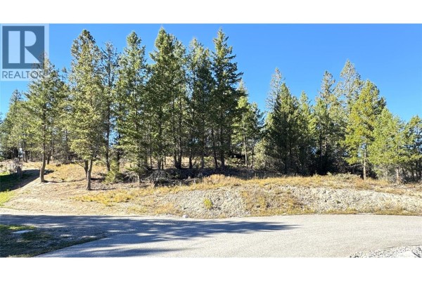 Lot 41 Cooper Road, Windermere, BC V0A1K2 Photo 3