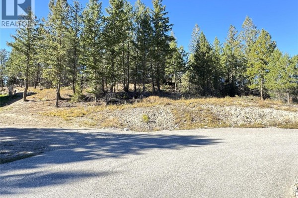 Lot 41 Cooper Road, Windermere, BC V0A1K2 Photo 4
