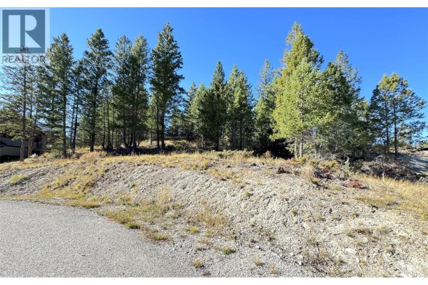 Lot 41 Cooper Road, Windermere, BC V0A1K2 Photo 5