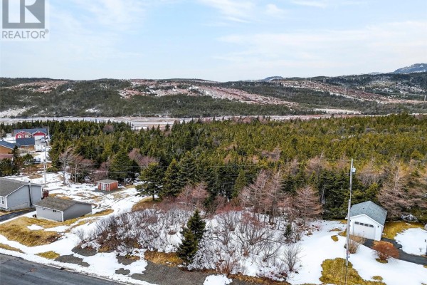 Lot 41 Shaheen Crescent, Come By Chance, NL, photo 2