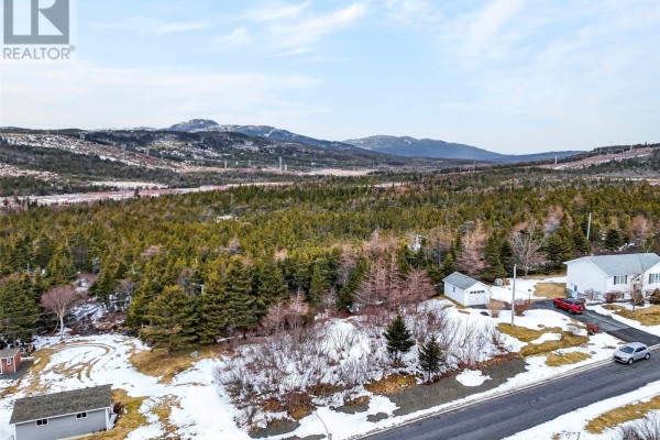 Lot 41 Shaheen Crescent, Come By Chance, NL, photo 3