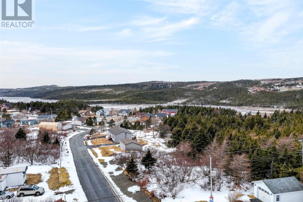 Aerial view of a coastal community with houses, evergreen forest, and a body of water. - Lot 41 Shaheen Crescent, Come By Chance