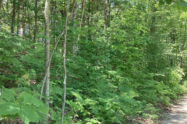 Lot 402 Desroches Trail, Tiny, ON, photo 2