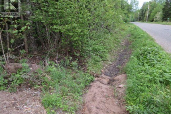 Lot 43 Lakeshore Dr S, Sault Ste  Marie, ON P6A6K4 Photo 4
