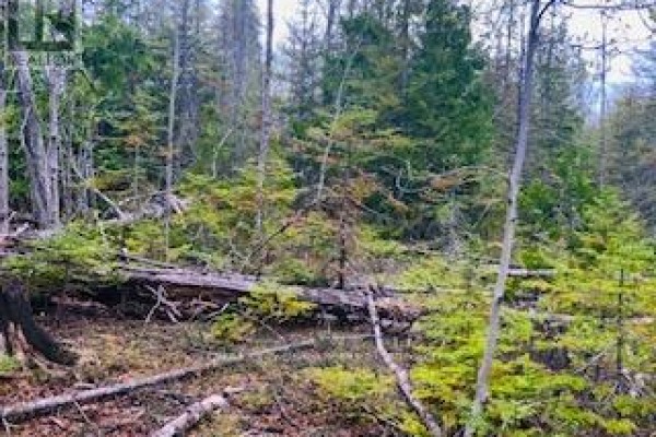 Lot 43 Warner Bay Road, Northern Bruce Peninsula, ON N0H2R0 Photo 2