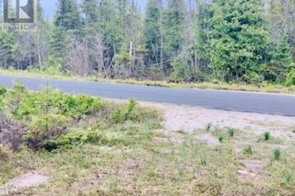 Lot 43 Warner Bay Road, Northern Bruce Peninsula, ON N0H2R0 Photo 3