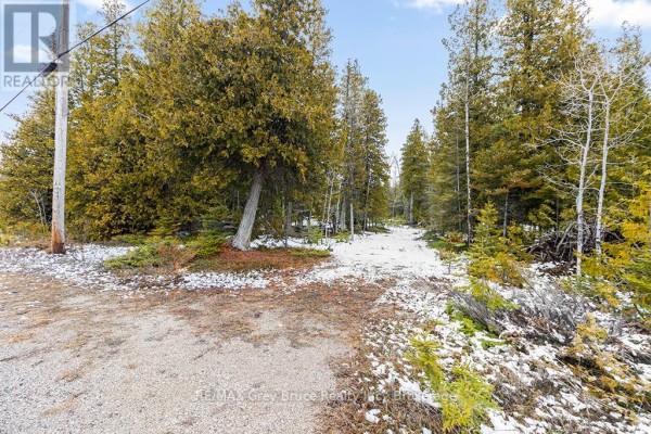 Lot 43 Warner Bay Road, Northern Bruce Peninsula, ON N0H2R0 Photo 4