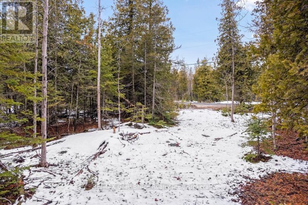 Lot 43 Warner Bay Road, Northern Bruce Peninsula, ON N0H2R0 Photo 5