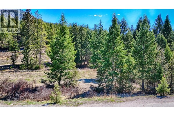 Lot 44 Cooper Road, Windermere, BC V0B2L0 Photo 4