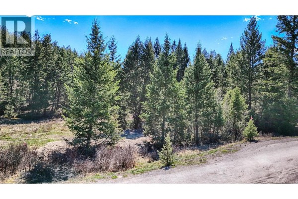 Lot 44 Cooper Road, Windermere, BC V0B2L0 Photo 5